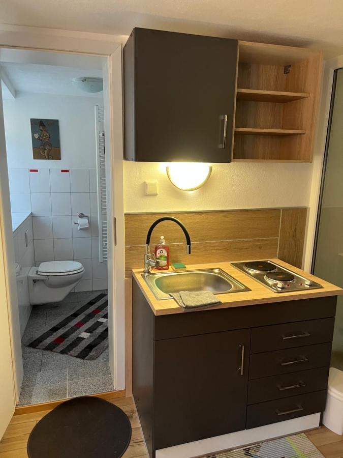 Homestay Waldshut-Tiengen Esterno foto
